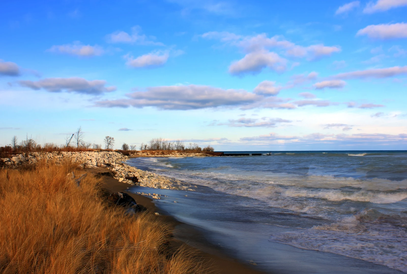 Lake Michigan shoreline and dune grasses at Illinois Beach State Park.
